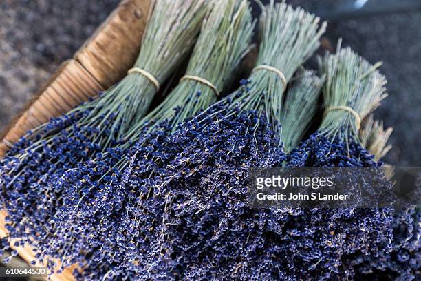 Lavender or lavandula is a flowering plants that is surprisingly found in the mint family. Many types of lavender are cultivated and used as...