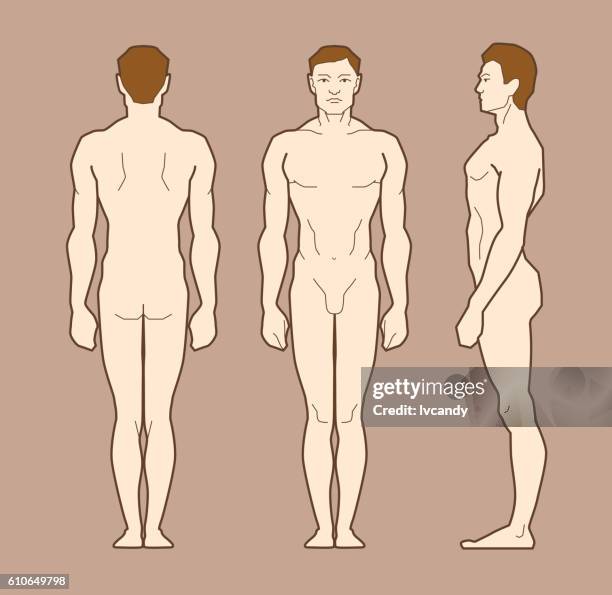 Female Front Back Reference Female Human Body Outline Front And Back