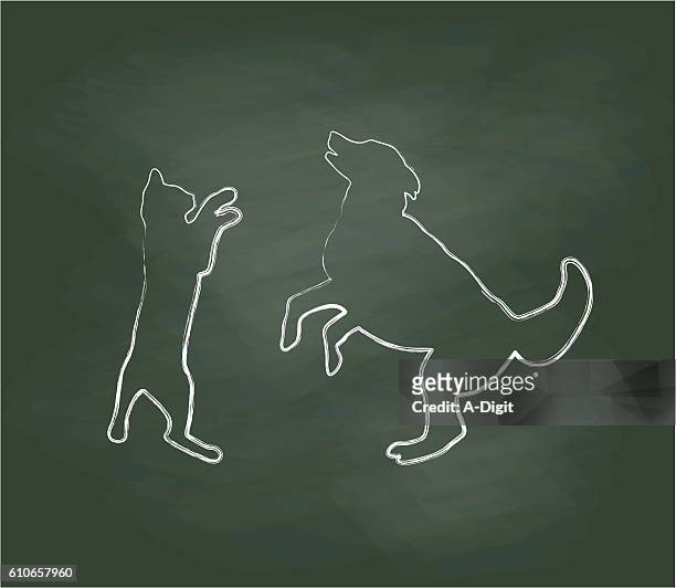 tafel katze spielen mit hund vektor illustration - auf den hinterbeinen stock-grafiken, -clipart, -cartoons und -symbole