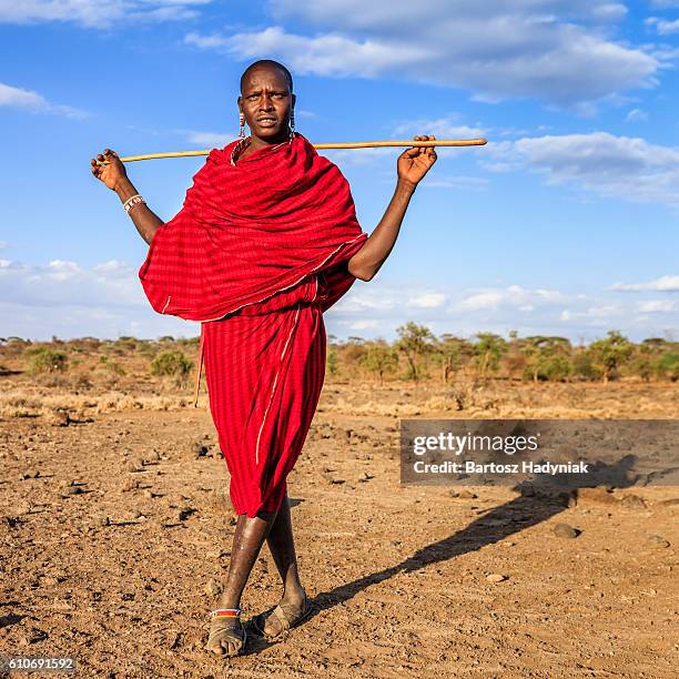 warrior from maasai tribe, kenya, africa - masai bildbanksfoton och bilder