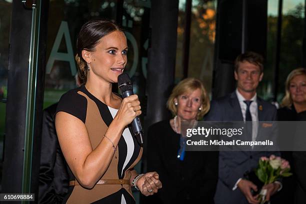 Princess Sofia of Sweden attends the opening of the "Porphyry: The Royal Stone" exhibition at Sven-Harrys art museum on September 27, 2016 in...