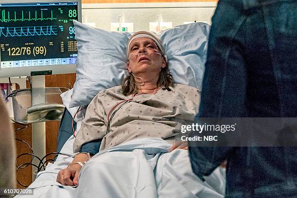 All Cylinders Firing" Episode 405 -- Pictured: Amy Morton as Trudy Platt --