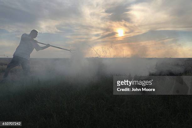 Mexican farm worker burns brush on a U.S. Farm on September 27, 2016 Holtville, California. Thousands of Mexican seasonal workers legally cross the...