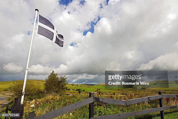 cornish flag in bodmin moor, cornwall - cornish flag stock-fotos und bilder