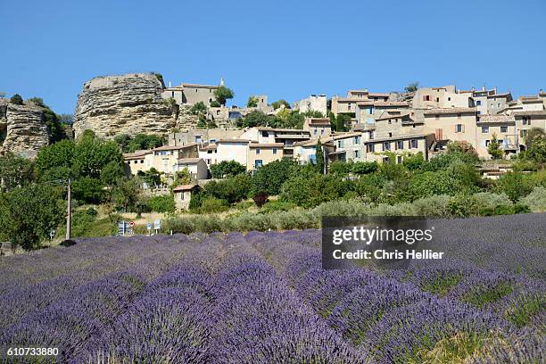 saignon & lavender field luberon provence - aix en provence stock pictures, royalty-free photos & images