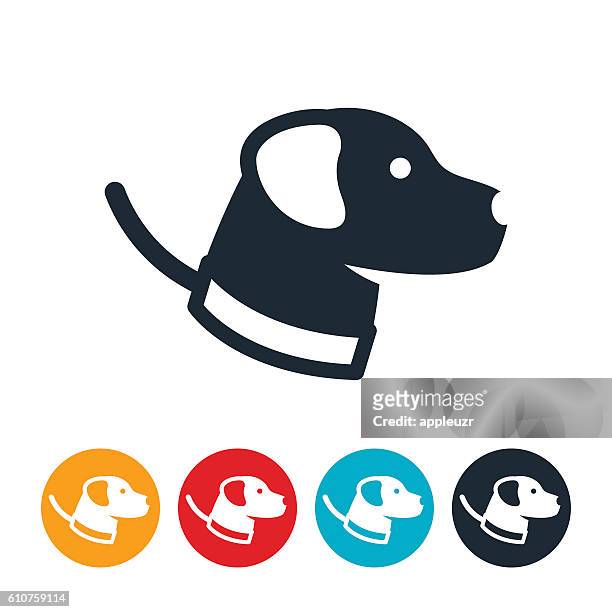 ilustraciones, imágenes clip art, dibujos animados e iconos de stock de icono de perro con correa - correa