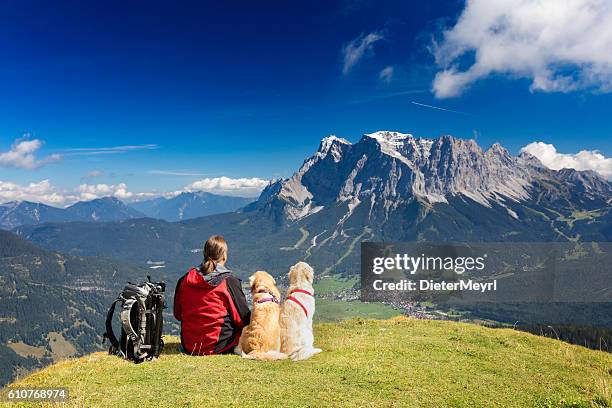 three friends, man with  his dogs are looking to zugspitze - zugspitze stock pictures, royalty-free photos & images