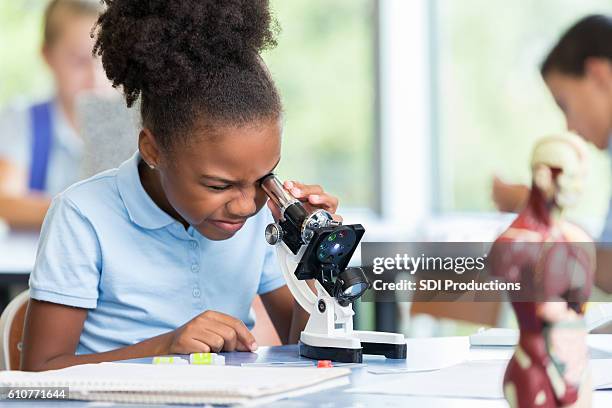 beautiful elementary schoolgirl uses a microscope for science project - children in a lab stock pictures, royalty-free photos & images