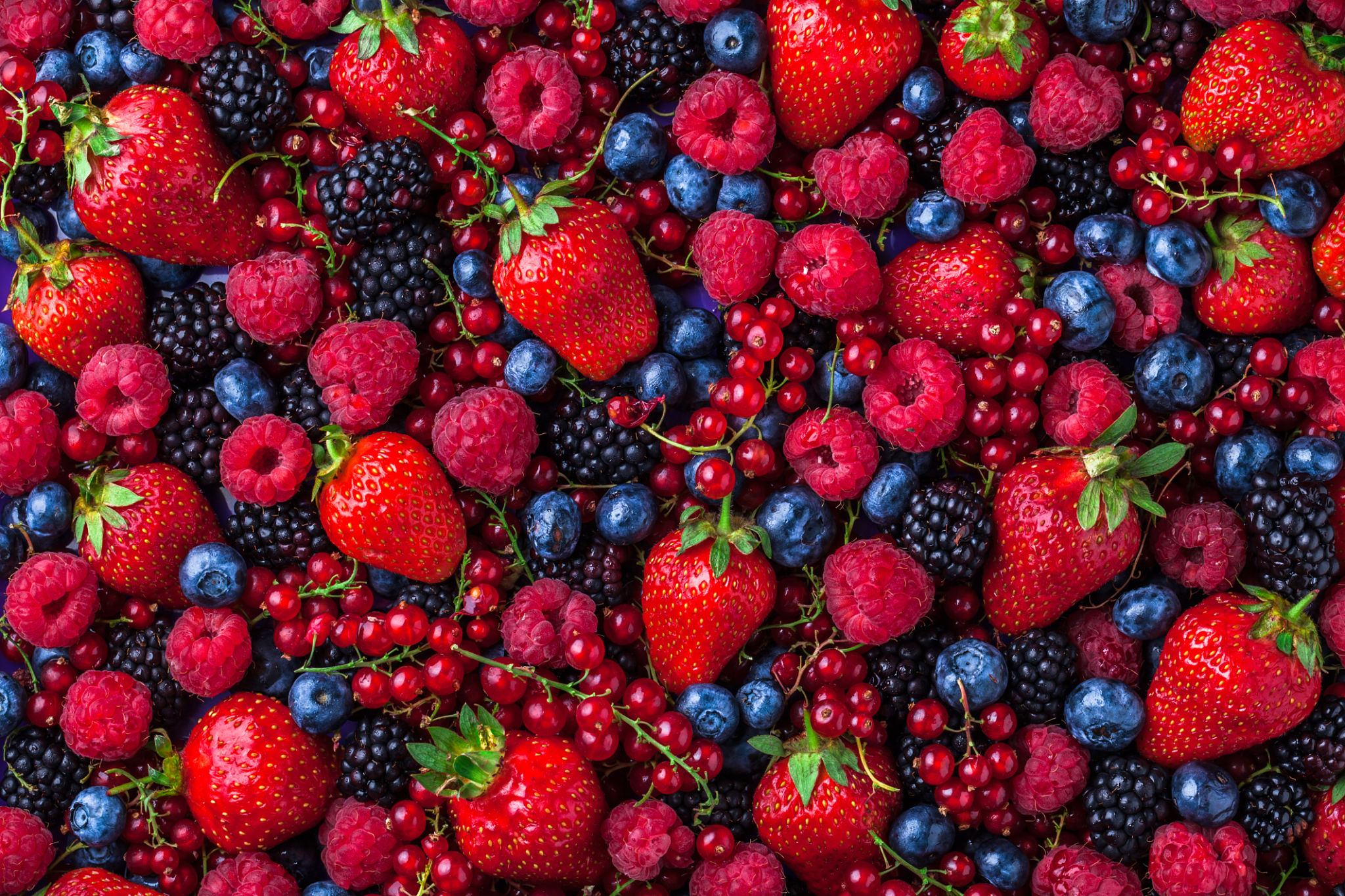 food forest