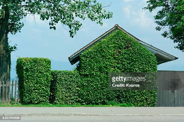 europe, austria area, view of house covered with plants or ivy - creeper stock-fotos und bilder