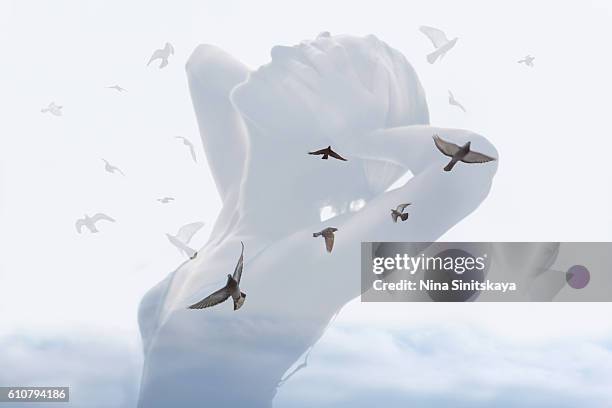 birds in the sky and woman's body - double exposure image - double facepalm stock pictures, royalty-free photos & images