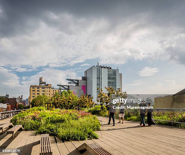 High Line Walk 5,936 High Line Walk Stock Photos, High-Res Pictures, and Images ...
