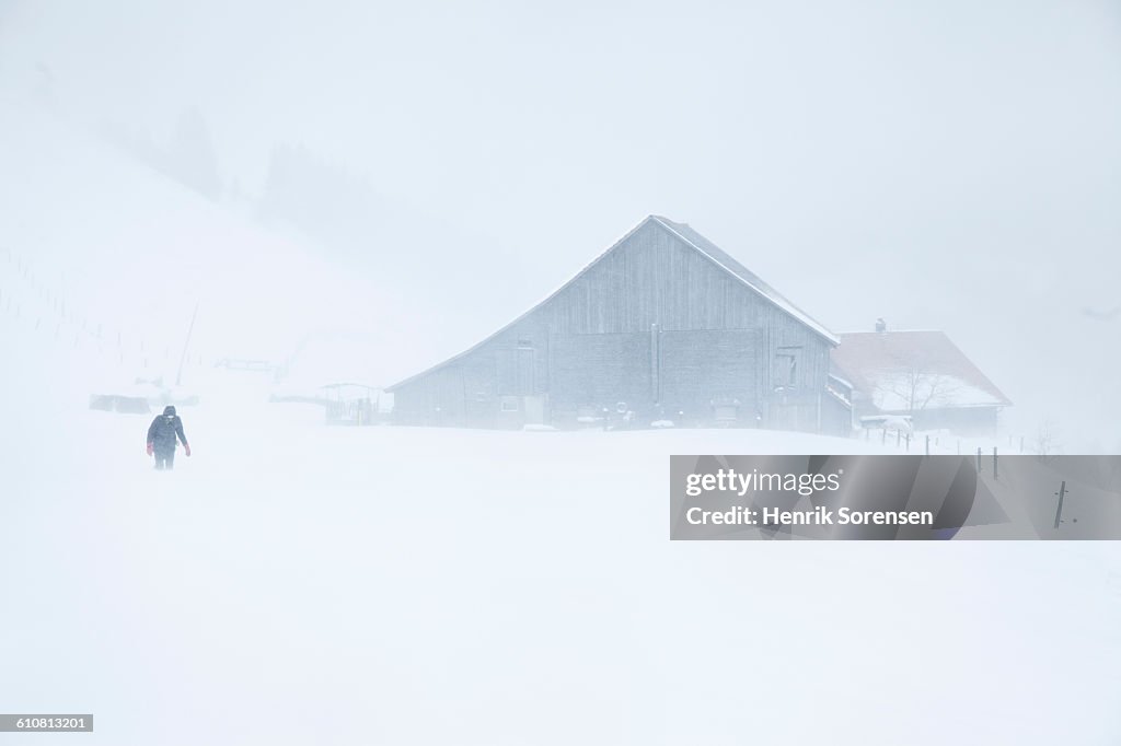 Snowstorm, whiteout on winter holiday