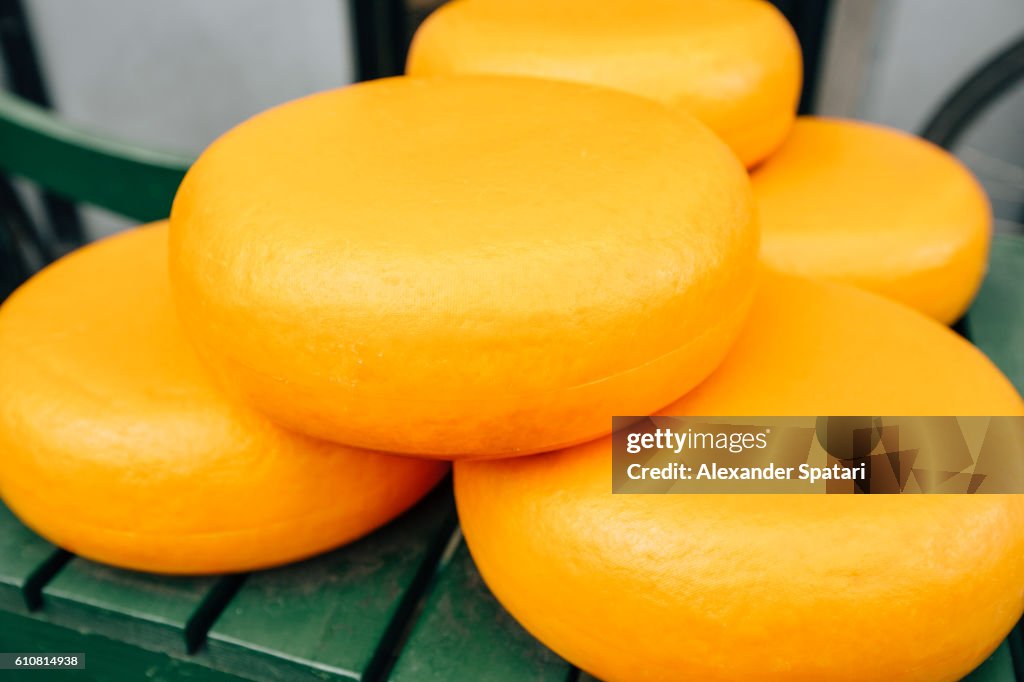 Yellow Rind Cheese Yellow Rind Dutch Cheese Gouda On The Market In Amsterdam Netherlands ...
