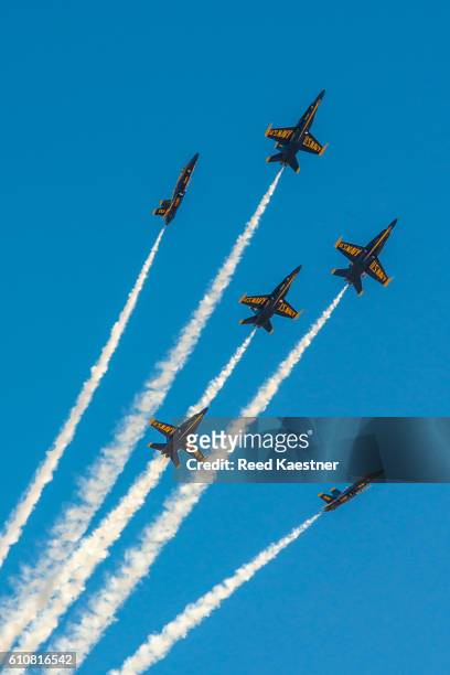 the blue angels perform at an air show. - blue angels 個照片及圖片檔