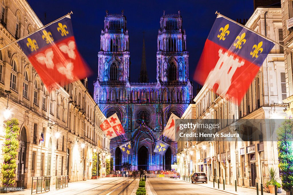 Cathedral Sainte-Croix in Orleans