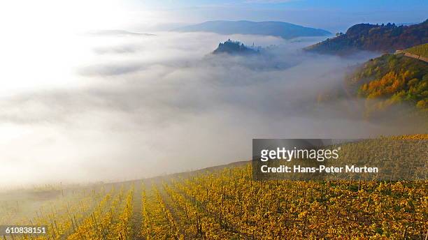 saarburg, vineyards in autumn and castle ruin - rhineland palatinate stockfoto's en -beelden