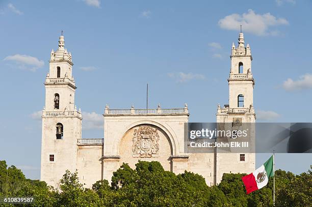 cathedral san ildefonso in merida, mexico - mérida mexiko bildbanksfoton och bilder