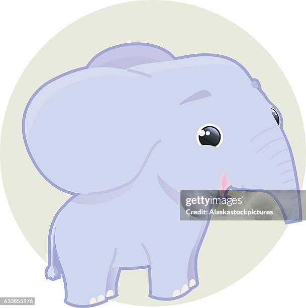 cute smiling elephant - the wild bactrian camel stock illustrations