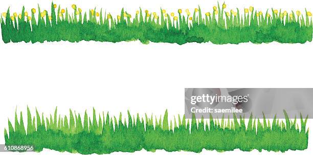 watercolor green grass - grass stock illustrations