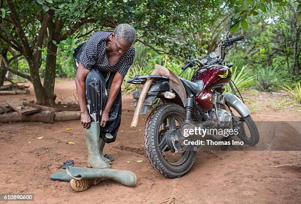 Congo, Ghana An African farmer puts on her rubber boots to work on a cashew farm on September 06, 2016 in Congo, Ghana.