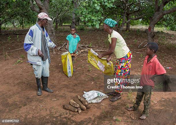 Congo, Ghana African peasant family with a small harvest on September 06, 2016 in Congo, Ghana.