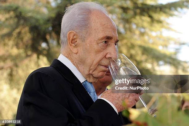 An archive image of Israeli President Shimon Peres attends an event at the pesident's residence in Jerusalem, October 16, 2011.