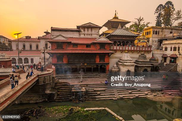 pashupatinath temple in kathmandu nepal. - pashupatinath photos et images de collection