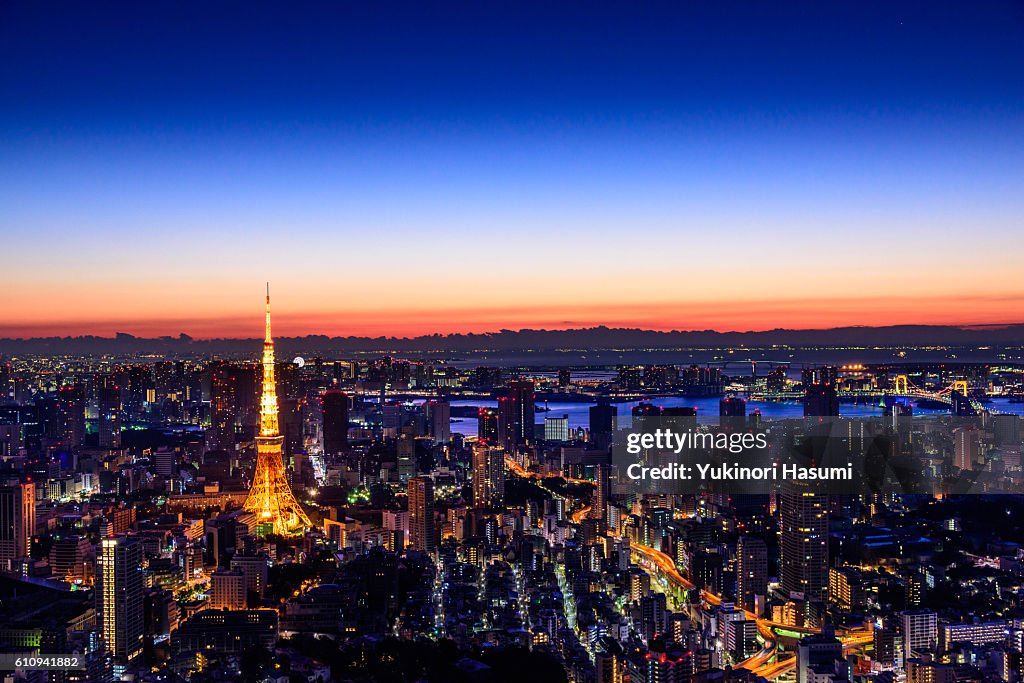 Tokyo at Daybreak