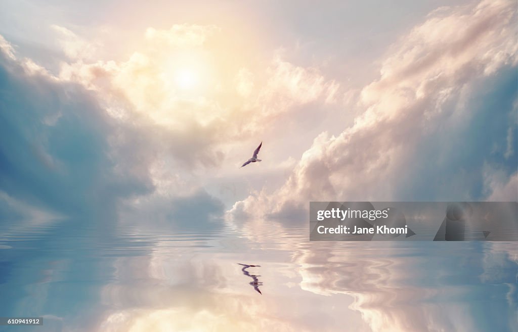 Bird Flying over Sun Rays