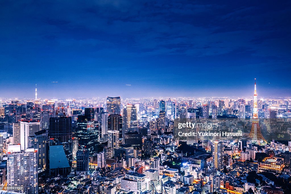 Tokyo Gorgeous Lights