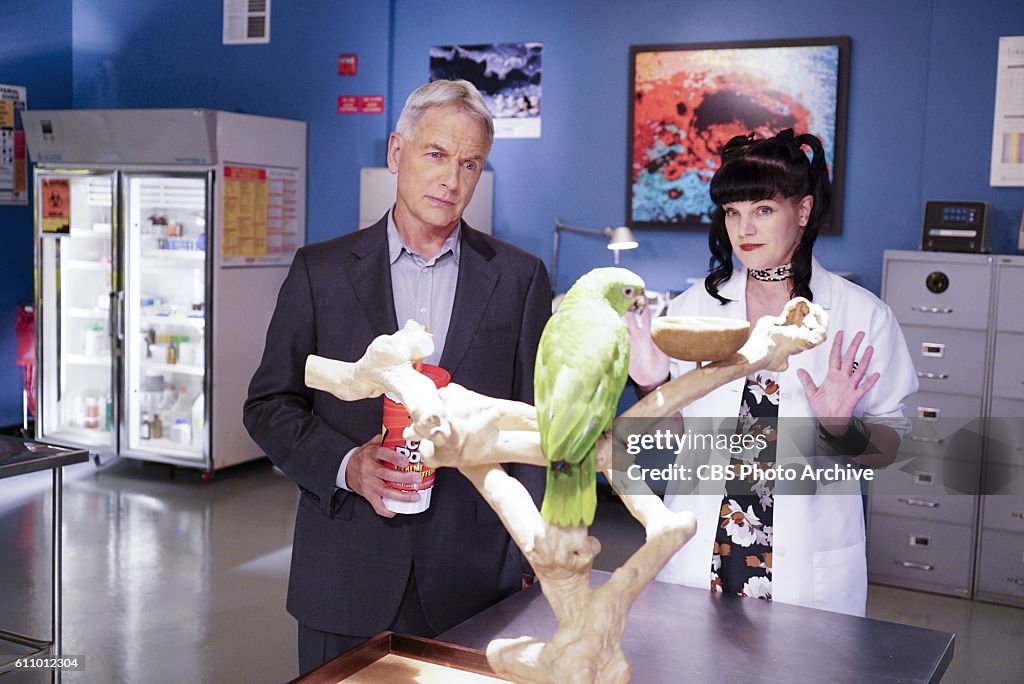 NCIS