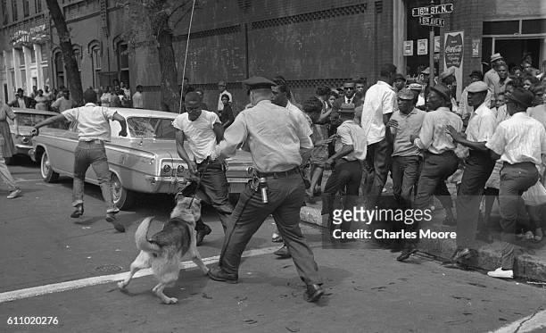 Demonstrator tries to wrestle his shirt away from a police dog held by an officer with a billy club, Birmingham, Alabama, May 3, 1963. Police...