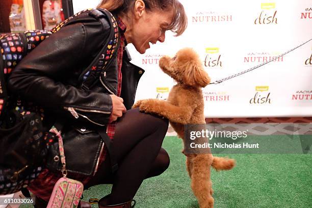 Chase the dog attends the celebration of the launch of Rachael Ray's Nutrish DISH with a Puppy Party on September 28, 2016 in New York City.