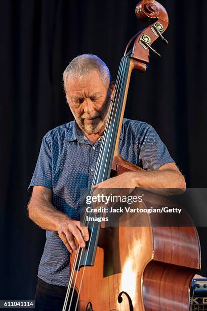 English musician Dave Holland plays upright acoustic bass at the 24th Annual Charlie Parker Jazz Festival in Tompkins Square Park, New York, New...