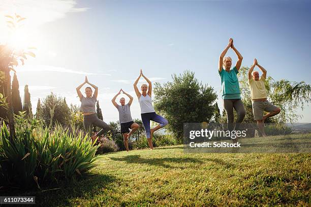 clase de yoga senior al aire libre - balneario fotografías e imágenes de stock