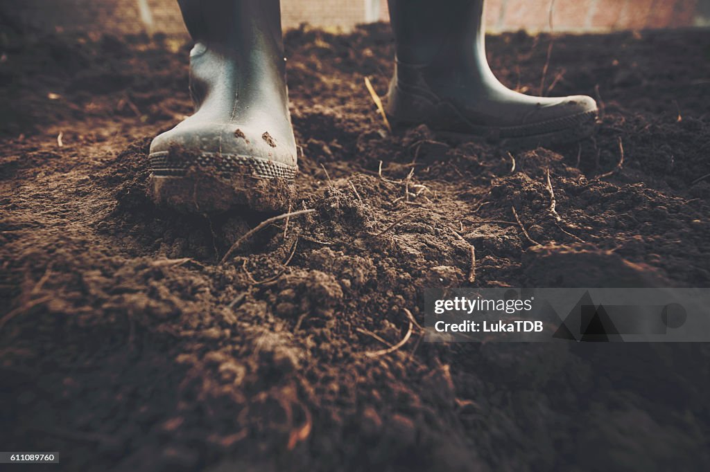 Muddy gardening boots