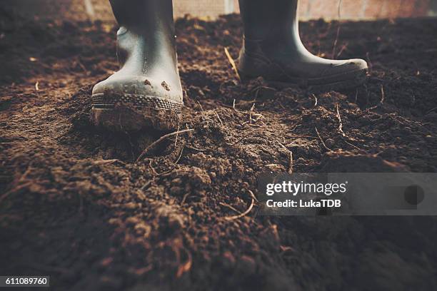 muddy gardening boots - muddy boot stock pictures, royalty-free photos & images