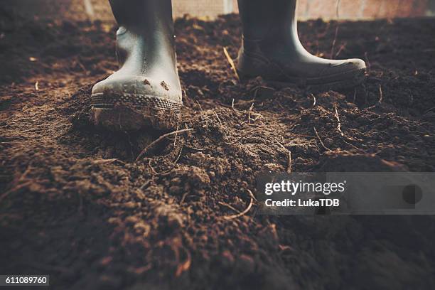 muddy gardening boots - muddy shoe print stock pictures, royalty-free photos & images