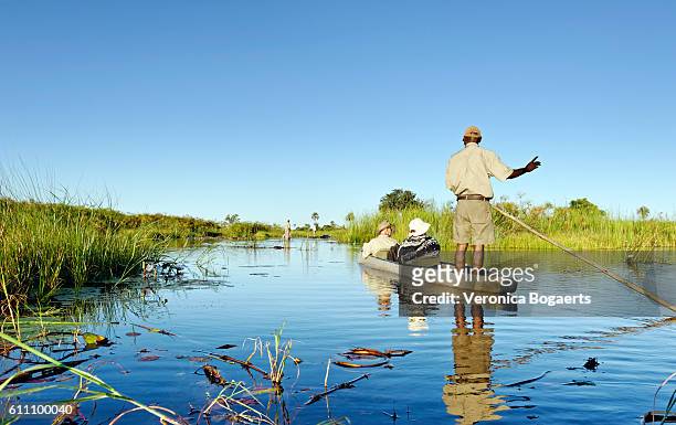mokoro trip in the okavanga delta in botswana - okavango delta stock pictures, royalty-free photos & images
