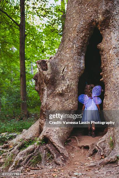 fairy house - vanessa lassin stock pictures, royalty-free photos & images