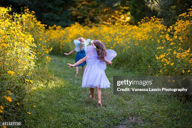 flower field flight - vanessa lassin stock pictures, royalty-free photos & images