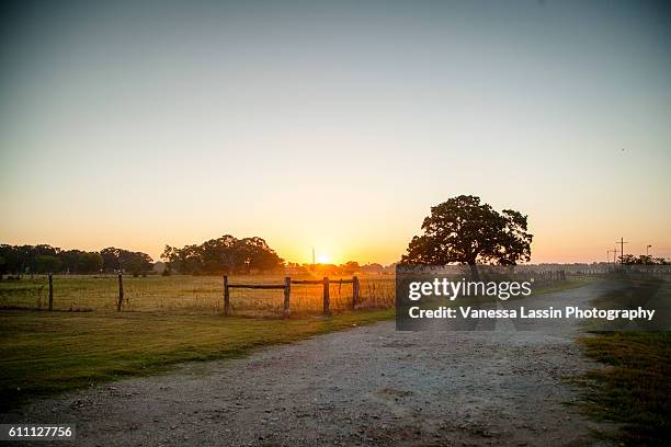 sunrise at the cowboys - rancho fotografías e imágenes de stock