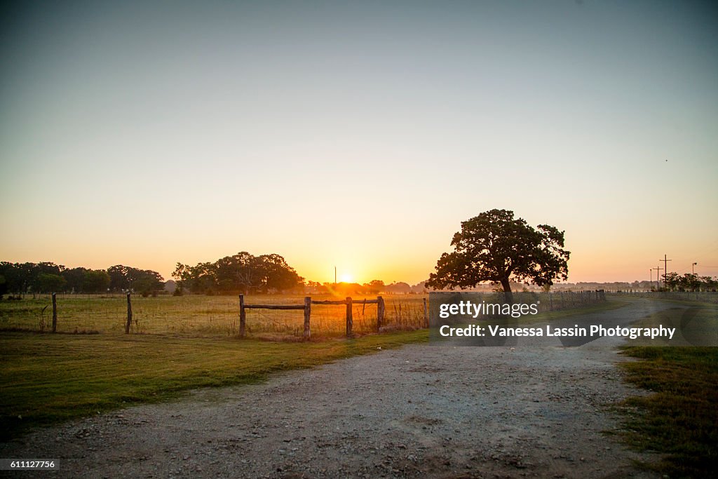 Sunrise at the Cowboys