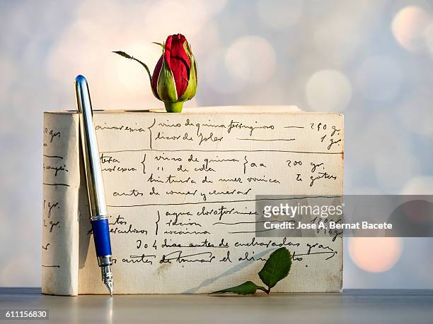 diary book written with fountain pen with a rose - modern calligraphy alphabet stock pictures, royalty-free photos & images
