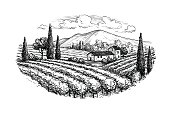 Hand drawn vineyard landscape