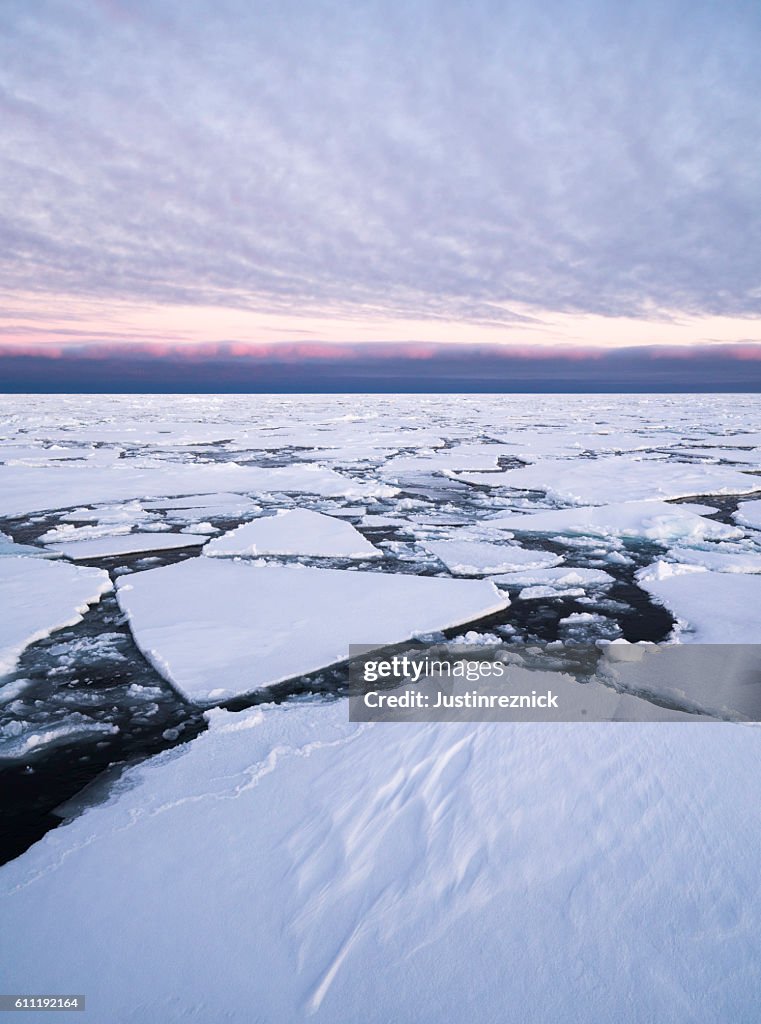 Arctic Pack Ice Sunset