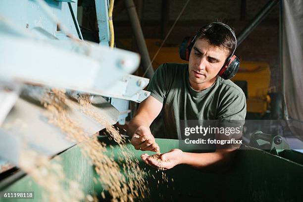 farmer stands next to machine, which separates grains for seeds - oogsten stockfoto's en -beelden