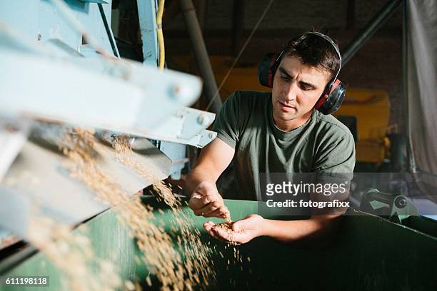farmer stands next to machine, which separates grains for seeds - harvest stock pictures, royalty-free photos & images
