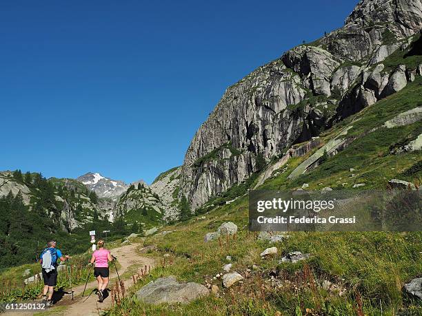 glacial erosional landforms in formazza valley, lepontine alps, northern italy - erosional stock pictures, royalty-free photos & images